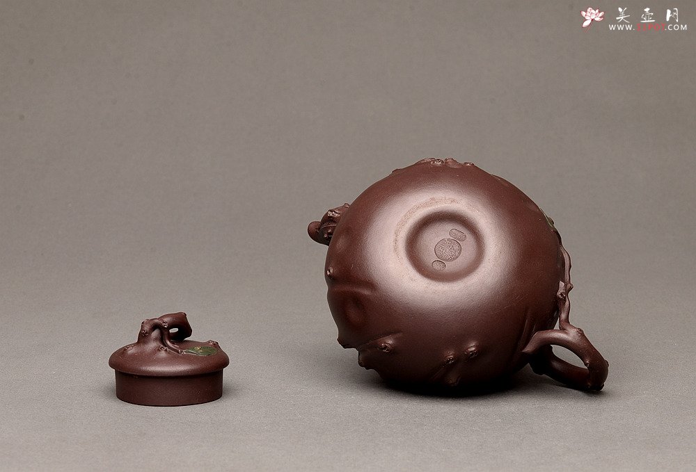 紫砂壶图片：灵秀俊美 自然清趣 玉露 典雅大气 原创作品孙伟强张新亚合作 - 美壶网