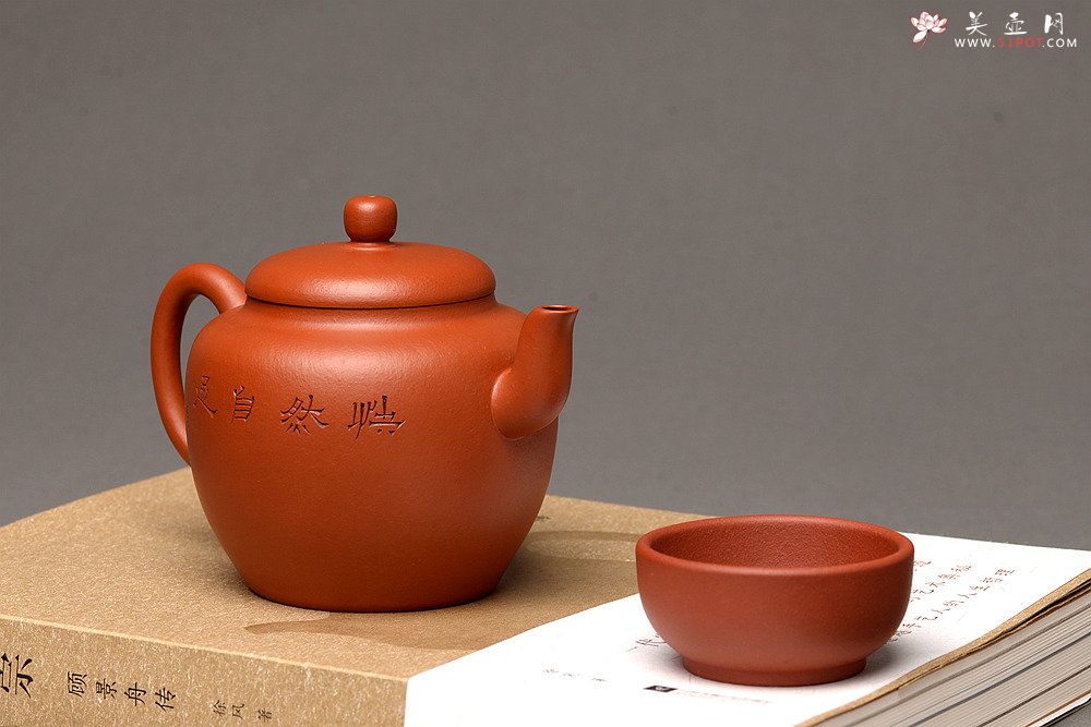 紫砂壶图片：徐亚春新品 优质朱泥 全手隐月 游心堂主人装饰 实用佳品 - 美壶网