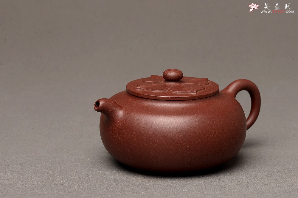 紫砂壶图片：马建鹏新品 饱满可人 有趣实用 莲华壶 美壶特惠  - 美壶网