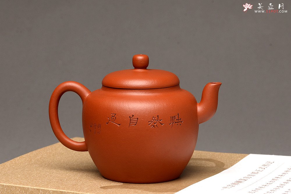 紫砂壶图片：徐亚春新品 优质朱泥 全手隐月 游心堂主人装饰 实用佳品 - 美壶网