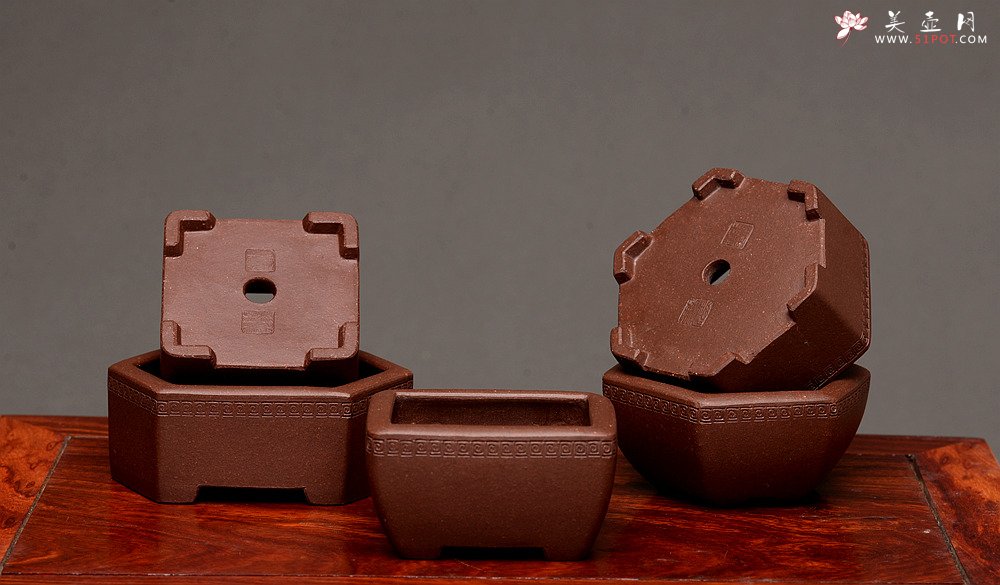 紫砂壶图片：张秋平全手微型花盆 美壶网回馈之作 气度更加漂亮 - 美壶网