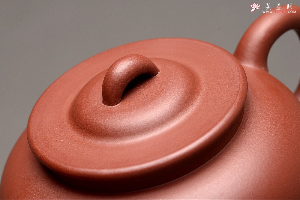 紫砂壶图片：美壶特惠 路达新品 大气古韵 进步之作 全手红炉  - 美壶网