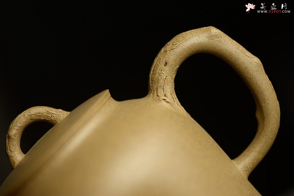 紫砂壶图片：高雪琴全手新作 优质段泥 端庄丰润 缎松 松皮逼真 - 美壶网