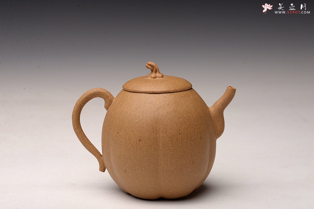 紫砂壶图片：姜建荣全手作品 硕果二 古拙有趣 秀气可人 - 美壶网
