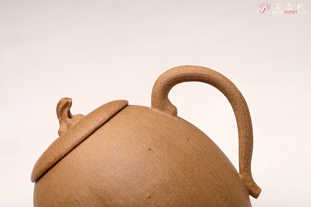 紫砂壶图片：姜建荣全手作品 硕果二 古拙有趣 秀气可人 - 美壶网