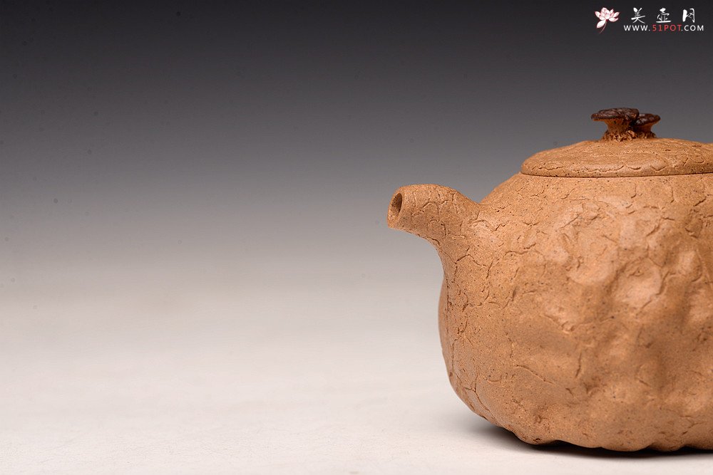 紫砂壶图片：谢多莲丙申初夏 肌理自然生动  全手小龚春 古朴之味 - 美壶网