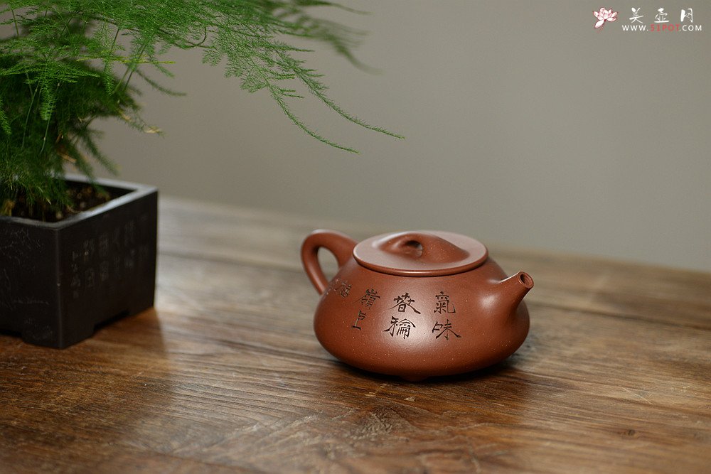 紫砂壶图片：吴杰全手新作 气势饱满 陆轶舟装饰 双刀老辣 精致耐品~ 梅花满瓢 致敬景舟 - 美壶网