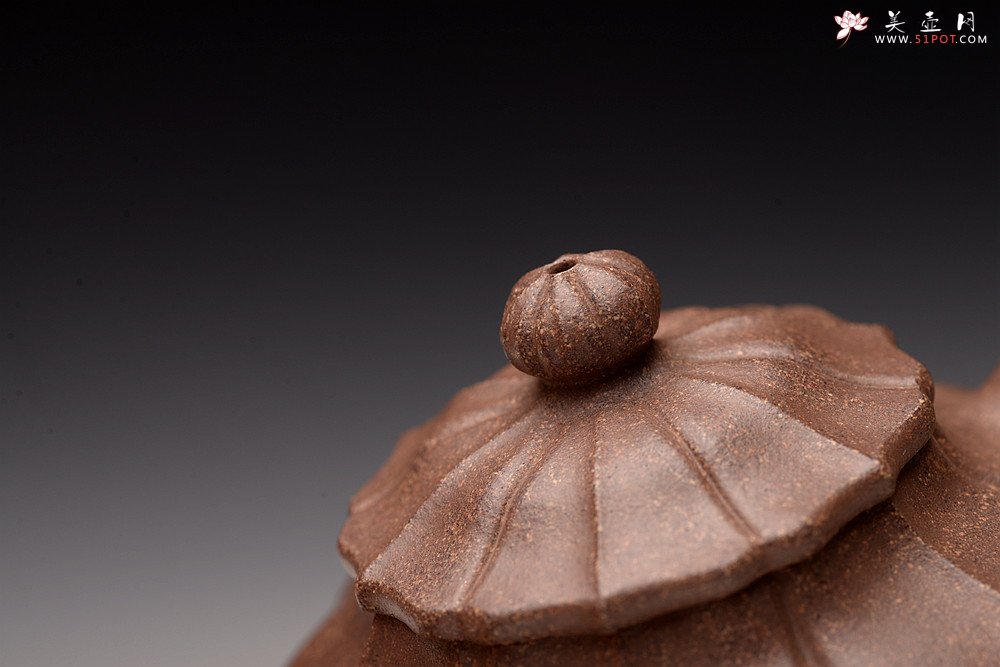 紫砂壶图片：周斌丙申夏全手新作 文气素雅  筋囊器 伴月 - 美壶网