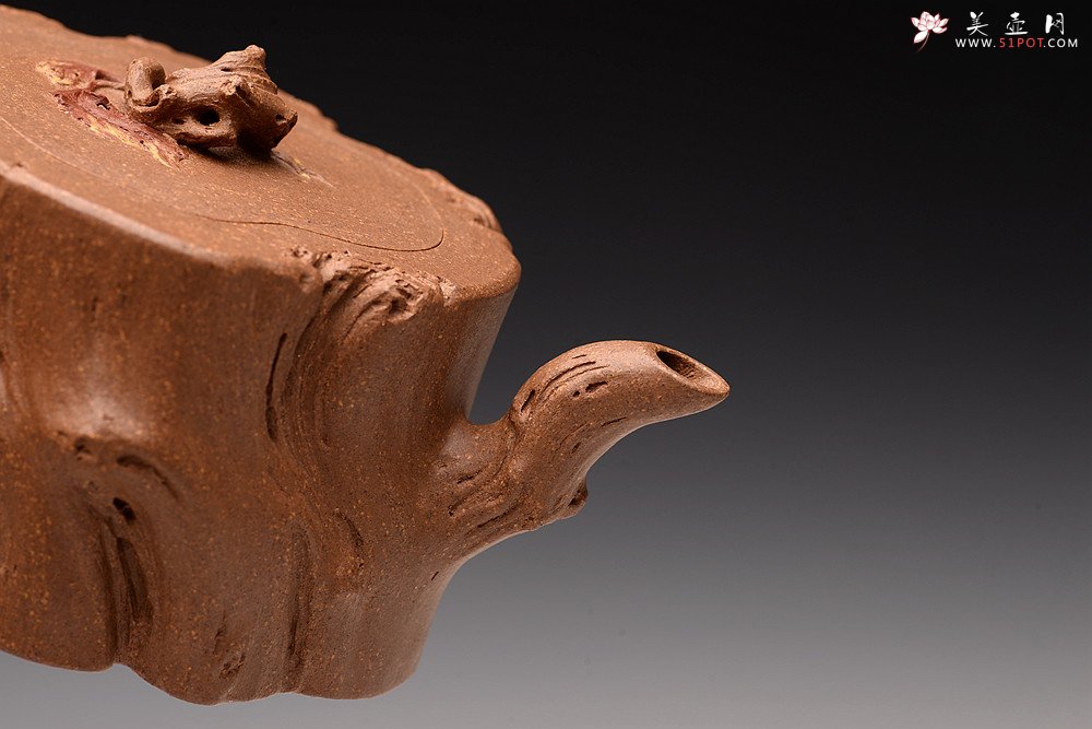 紫砂壶图片：林月长丙申夏全手原创精品 肌理丰富 紫砂新风 学院派 逸林 - 美壶网