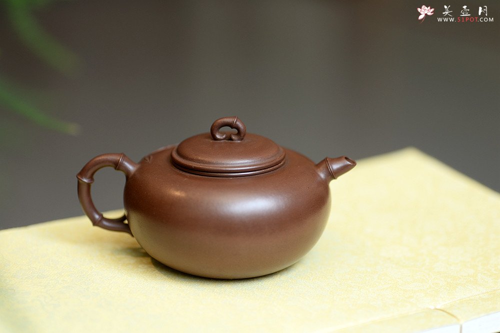 紫砂壶图片：实力派潘丹初丙申夏 优质紫泥  国画入壶 秀雅文气 全手原创福竹o(∩_∩)o - 美壶网
