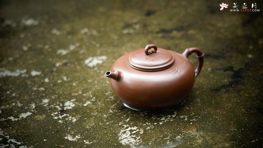 紫砂壶图片：实力派潘丹初丙申夏 优质紫泥  国画入壶 秀雅文气 全手原创福竹o(∩_∩)o - 美壶网