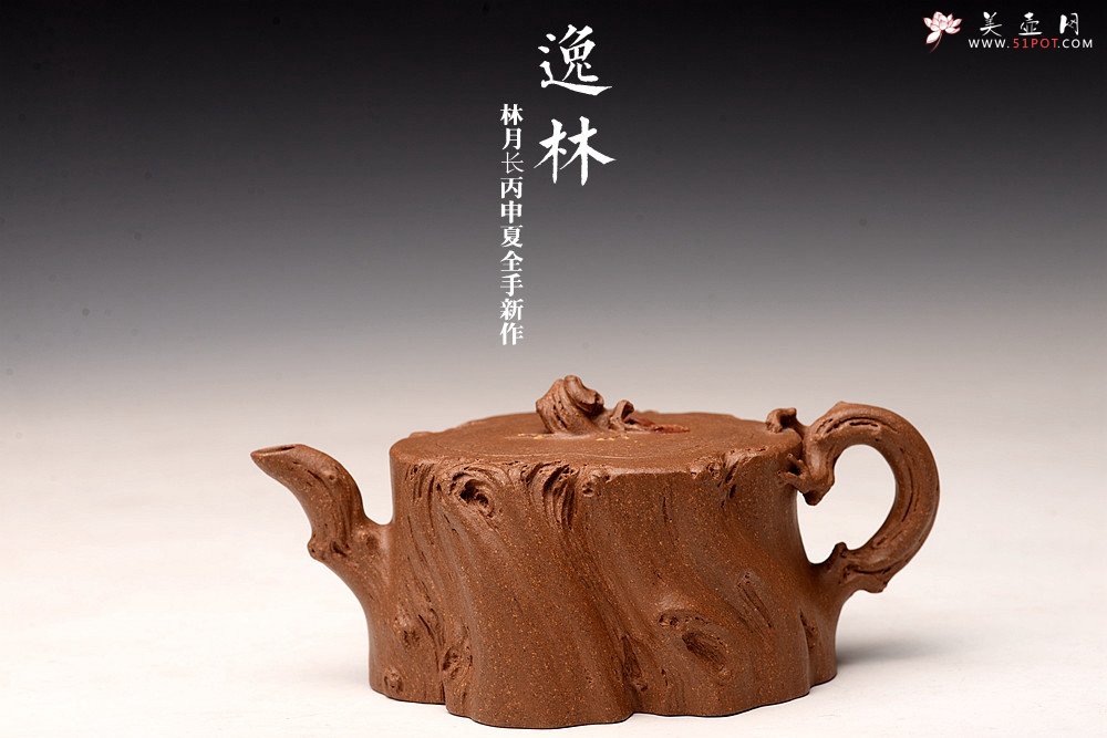 紫砂壶图片：林月长丙申夏全手原创精品 肌理丰富 紫砂新风 学院派 逸林 - 美壶网