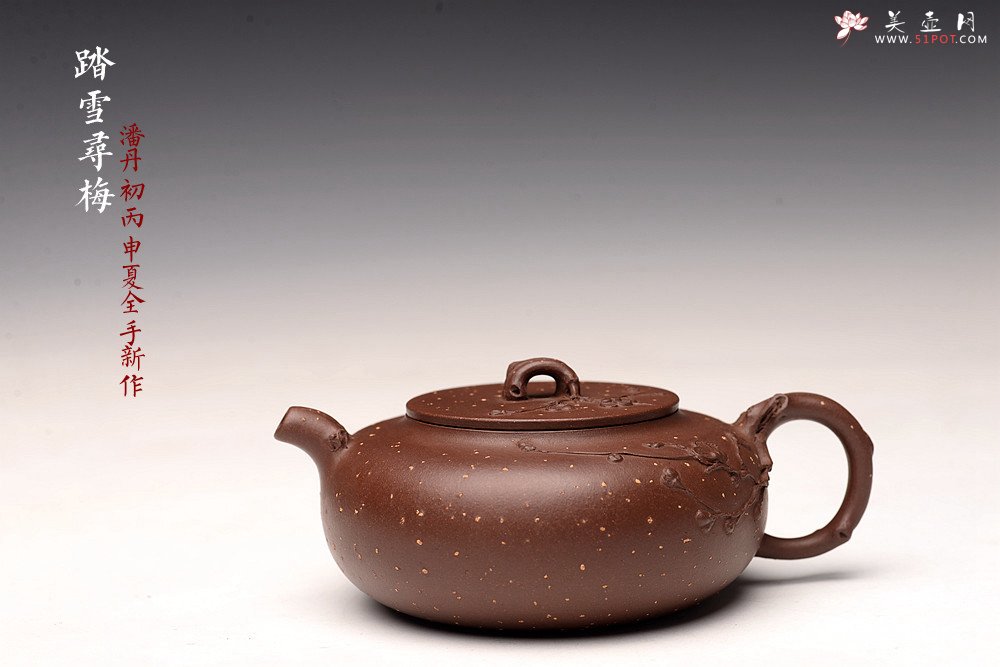 紫砂壶图片：潘丹初丙申夏全手作品~ 温文尔雅 踏雪寻梅 灵秀之作 雪中情 - 美壶网