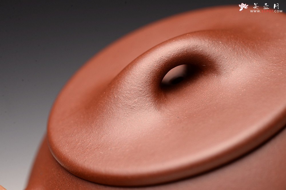 紫砂壶图片：厚重古朴 文人气息 景舟石瓢 送礼自品俱佳 精品 - 美壶网