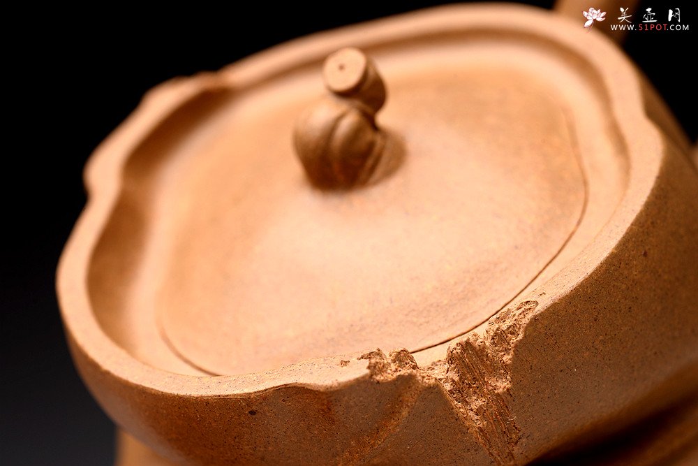 紫砂壶图片：林秀明丙申夏 全手精品 文心入泥 原创作品 永怡 灵秀玩味 - 美壶网