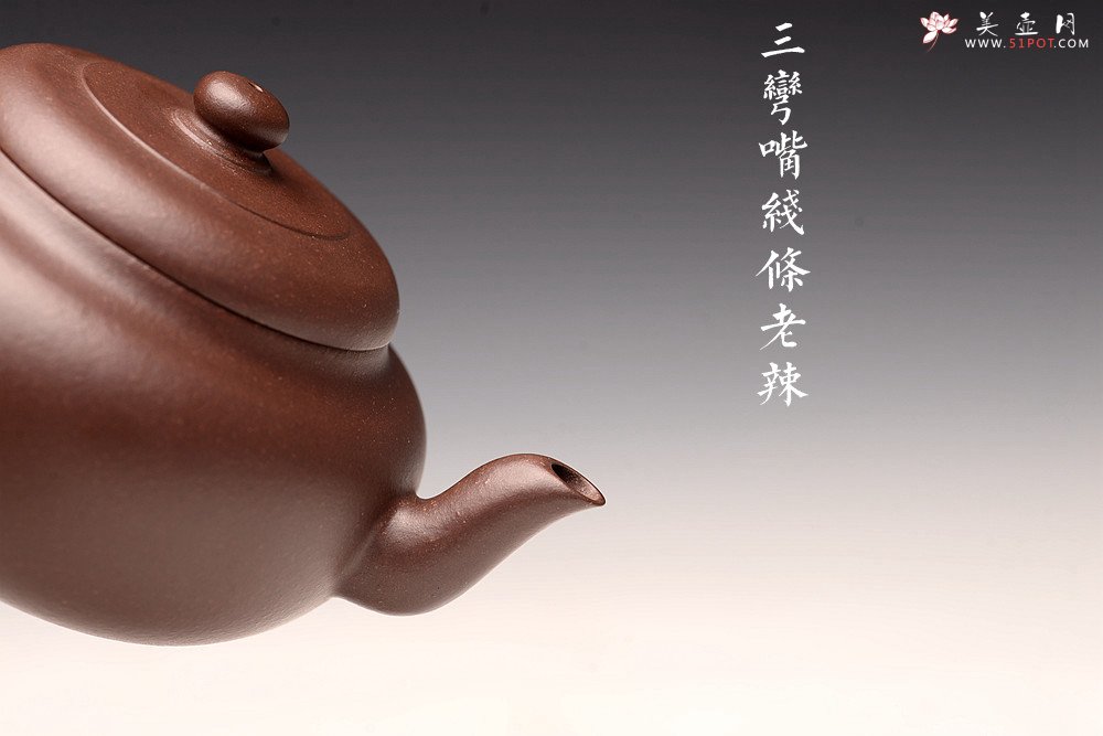 紫砂壶图片：王薇丙申夏全手精品 气韵贯通 型制耐品 优质紫泥 摹古圆壶 - 美壶网