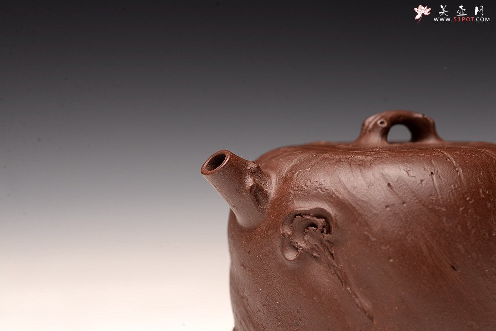 紫砂壶图片：花货新风尚 妙趣横生 潘丹初经典全手之作 玄木 木叶动秋声~ - 美壶网