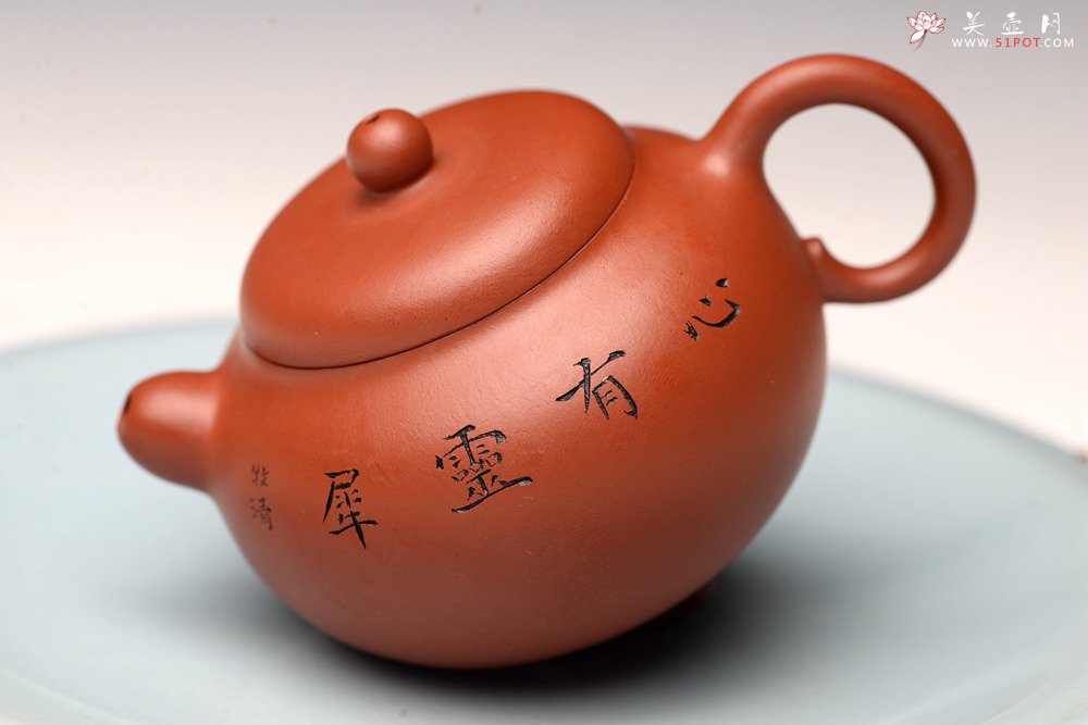 紫砂壶图片：茶盘尤物 原矿纯朱泥 秀珠 饱满俏人 赏玩皆宜,  - 美壶网