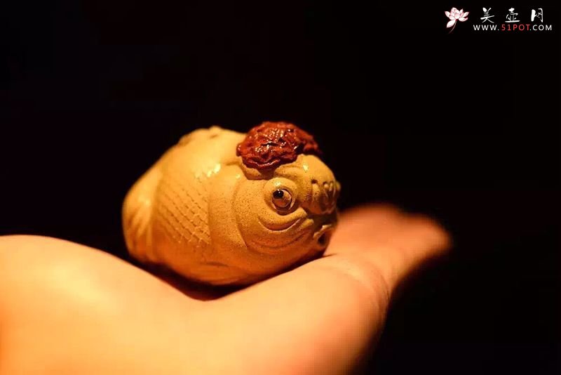 紫砂壶图片： 茶盘尤物  做工精细 生动传神 寓意吉祥之鸿运当头 - 美壶网