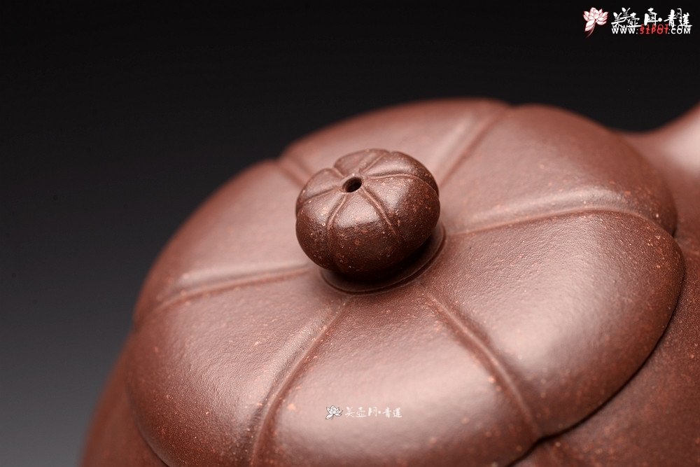 紫砂壶图片：周斌丙申夏全手筋囊器 新梅花石瓢 颇有新意  - 美壶网