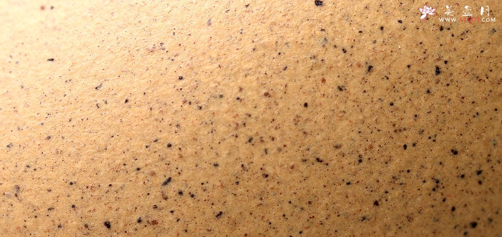 紫砂壶图片：邵春良老师全手近作 本绿小莲子 端庄秀美 泥料温润如玉 - 美壶网