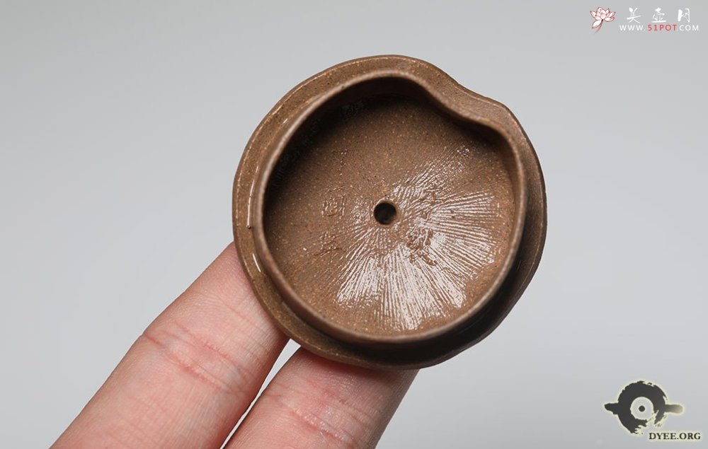 紫砂壶图片：瓜趣欣赏 - 美壶网