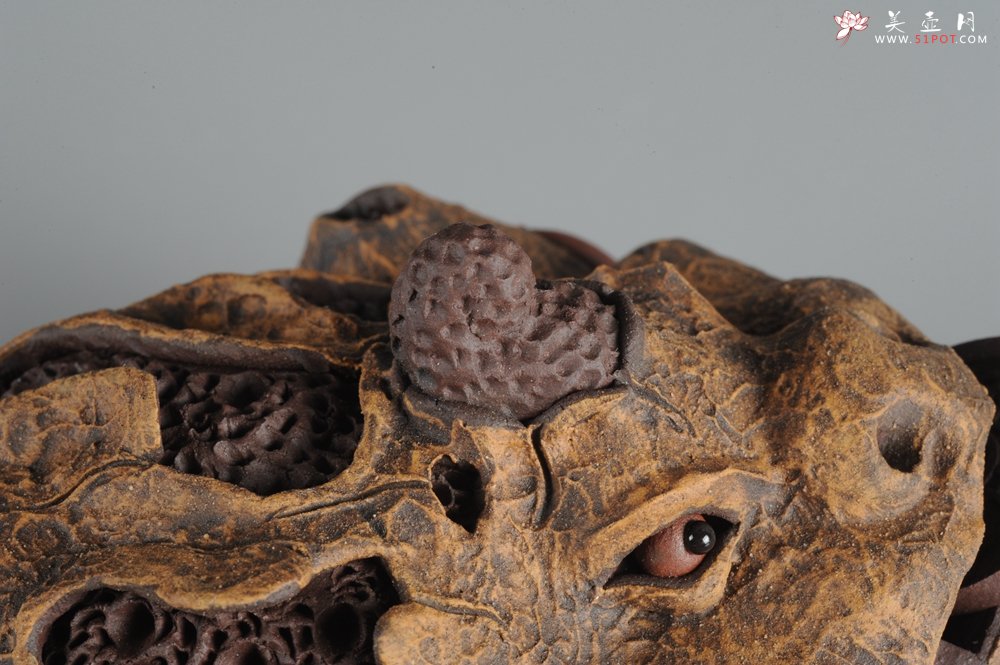 紫砂壶图片：特惠醉美树皮金蟾茶宠 灵性十足 寓意招财进宝 - 美壶网