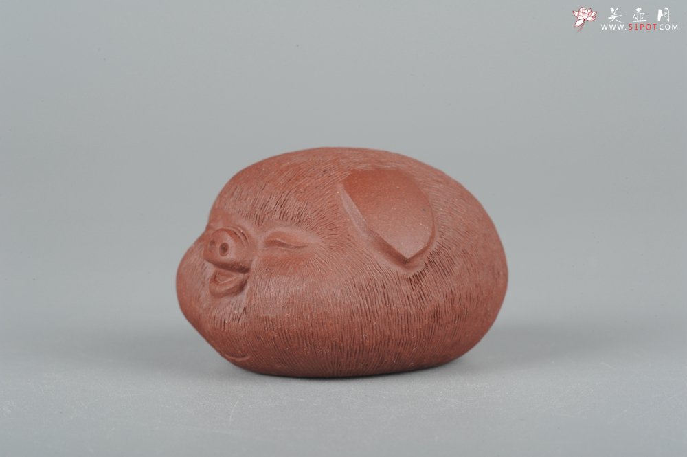 紫砂壶图片：美宠特惠拉毛小猪茶宠摆件 随机发一只 - 美壶网