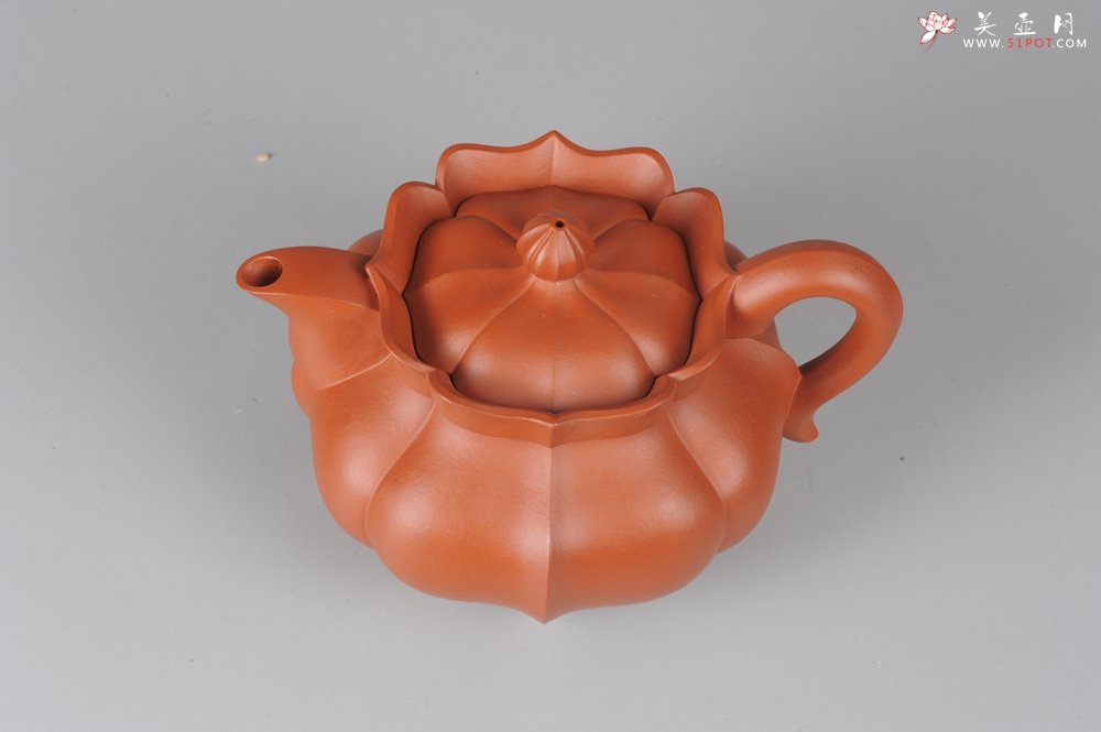 紫砂壶图片：优质小红泥莲花僧帽 线条干净利落 - 美壶网