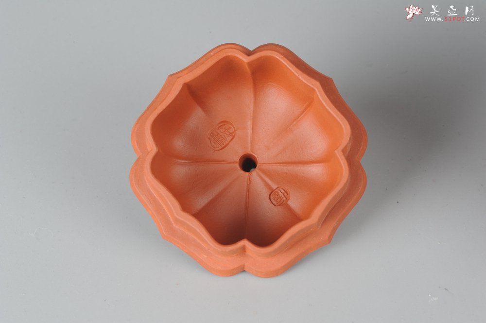 紫砂壶图片：优质小红泥莲花僧帽 线条干净利落 - 美壶网