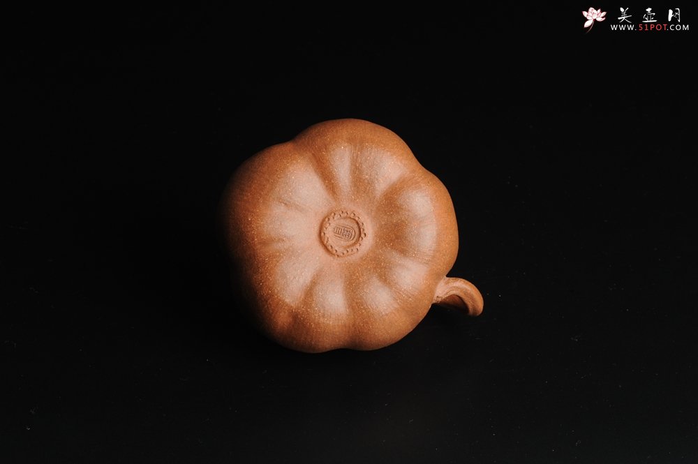 紫砂壶图片：仿生小花货 全手工文人小南瓜二式  - 美壶网