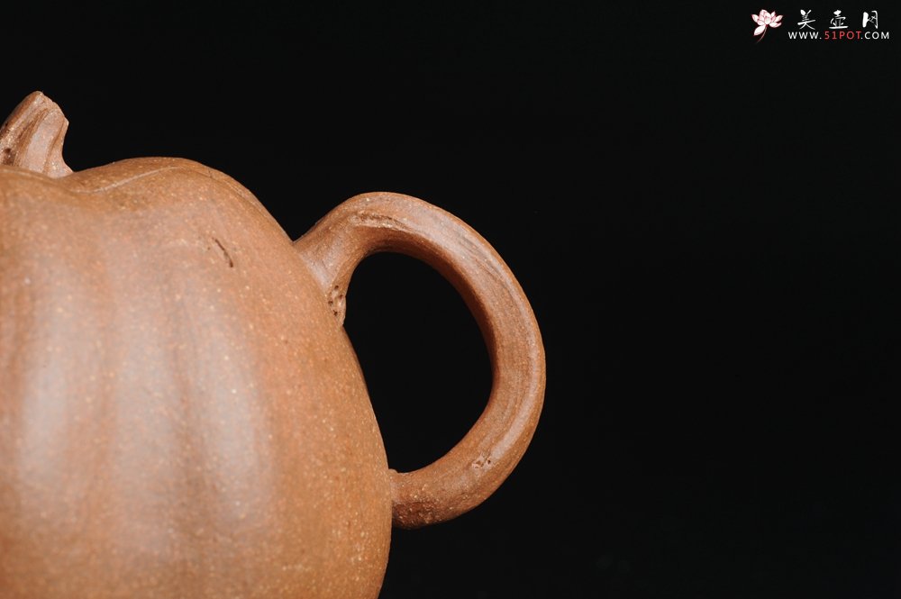 紫砂壶图片：仿生小花货 全手工文人小南瓜二式  - 美壶网