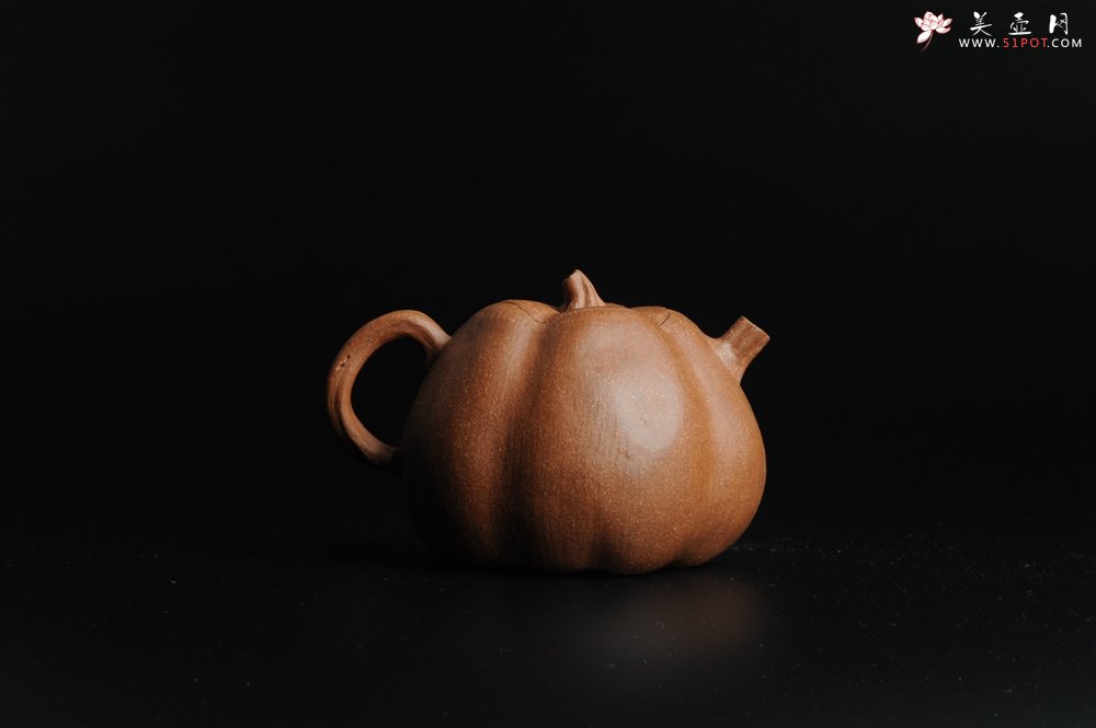 紫砂壶图片：仿生小花货 全手工文人小南瓜二式  - 美壶网