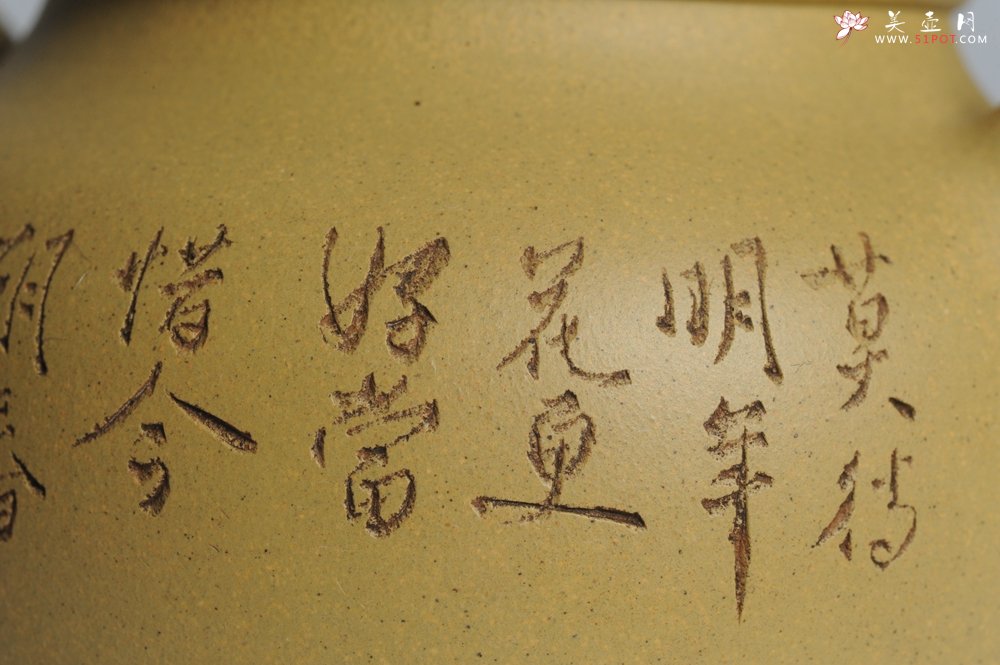 紫砂壶图片：美壶特惠 灰常好的本山段精工山水莲子壶 端庄秀雅 莫待明年花更好 当惜今朝春正浓 - 美壶网