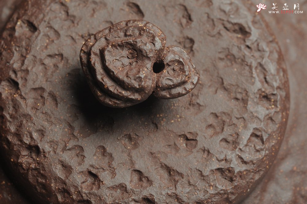 紫砂壶图片：美壶特惠 全手工薄胎游龙灵芝供春 龚春 做工精致 单色更显功力 - 美壶网