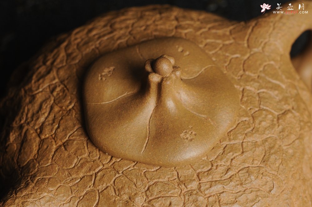 紫砂壶图片：美壶特惠 进步明显优质黄金段全手工供春壶 异型盖 难度大 肌理丰富 - 美壶网