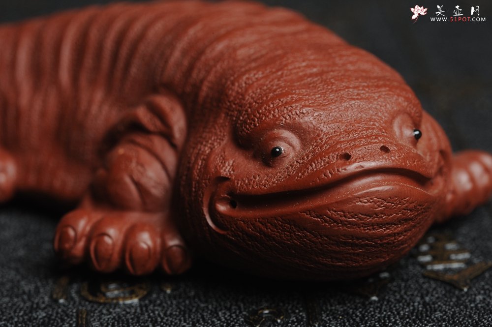 紫砂壶图片：美宠特惠 回馈壶友 精致性价比大红袍朱泥娃娃鱼茶宠 憨厚可爱 长12.5cm高2.5cm左右 - 美壶网