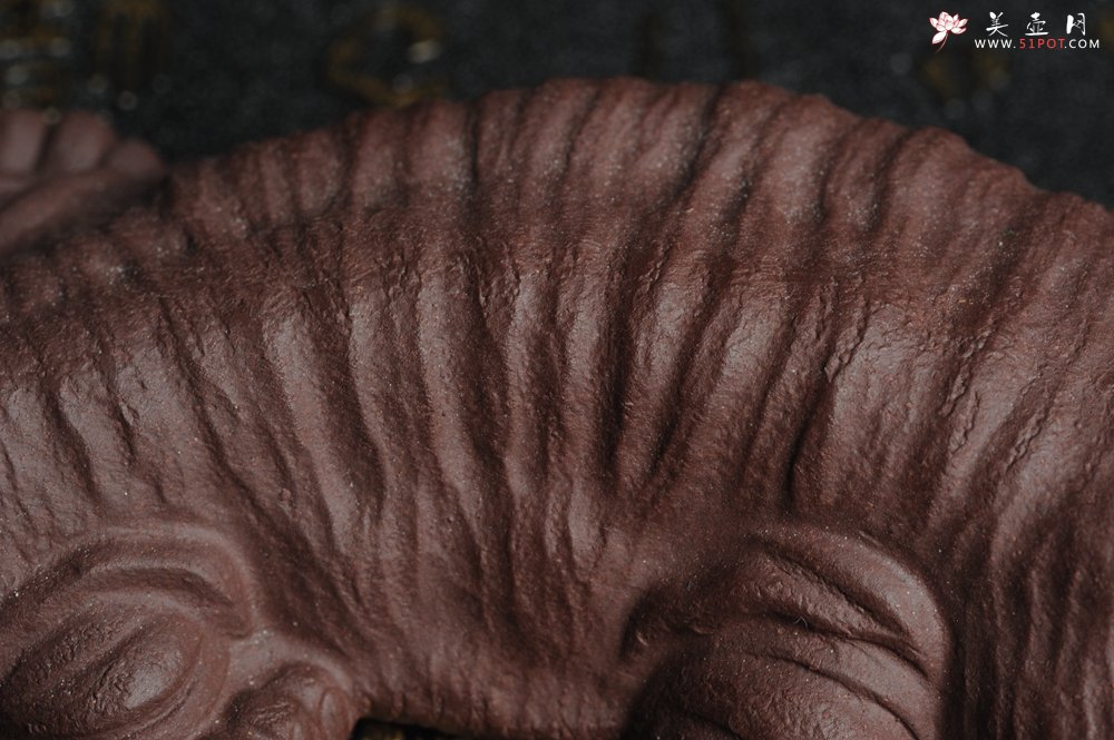 紫砂壶图片：美宠特惠 回馈壶友 精致性价比紫泥娃娃鱼茶宠 憨厚可爱长13.5cm高2.8cm左右 - 美壶网