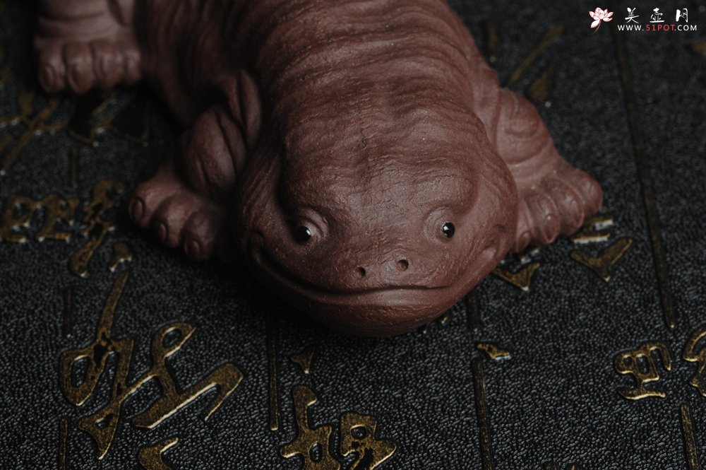 紫砂壶图片：美宠特惠 回馈壶友 精致性价比紫泥娃娃鱼茶宠 憨厚可爱长13.5cm高2.8cm左右 - 美壶网