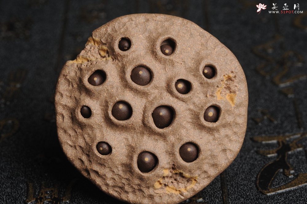 紫砂壶图片：美宠特惠 回馈壶友 精致性价比老段泥莲蓬茶宠直径5.5cm长度5.5cm左右 - 美壶网