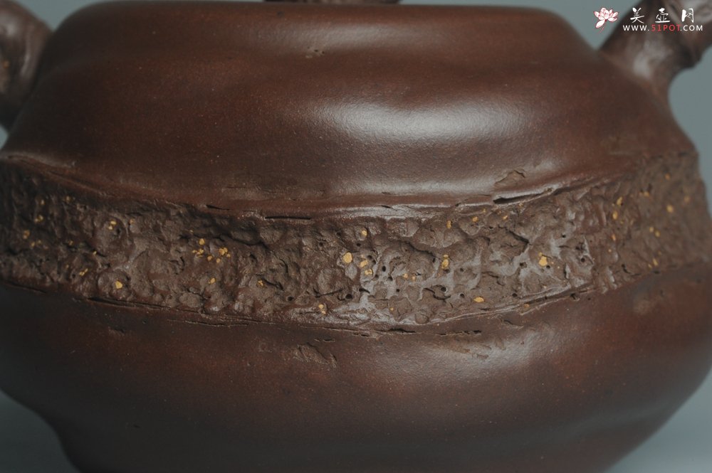 紫砂壶图片：潘丹初全手新作 道法自然 妙趣横生 原创溪竹 - 美壶网