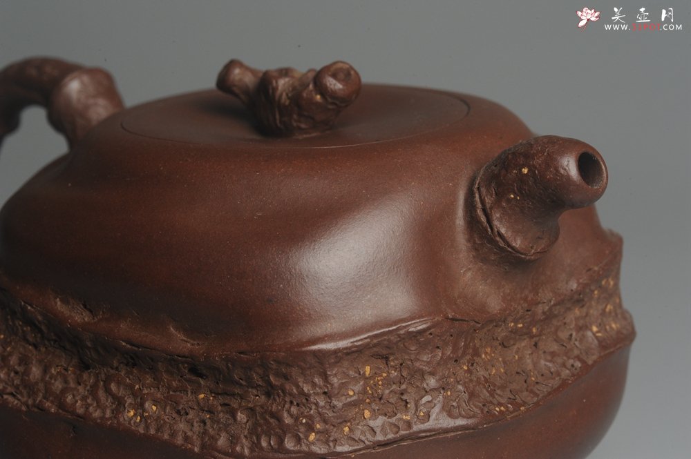 紫砂壶图片：潘丹初全手新作 道法自然 妙趣横生 原创溪竹 - 美壶网