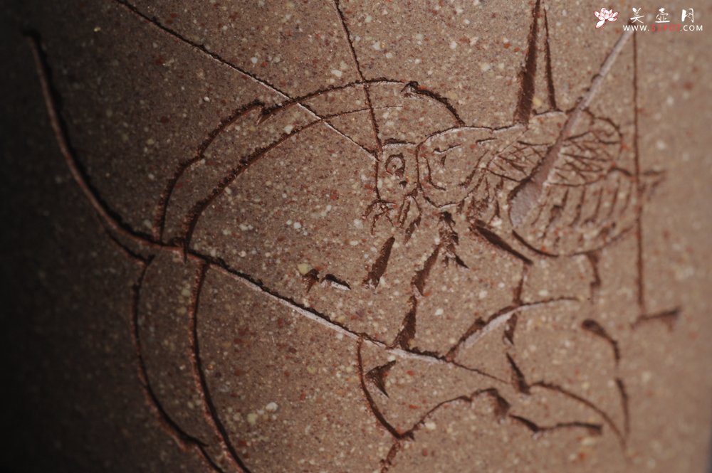 紫砂壶图片：美杯中秋特惠 精品好泥好工好刻雅致厚实 清趣品茗杯 主人杯 自用送礼佳品 - 美壶网