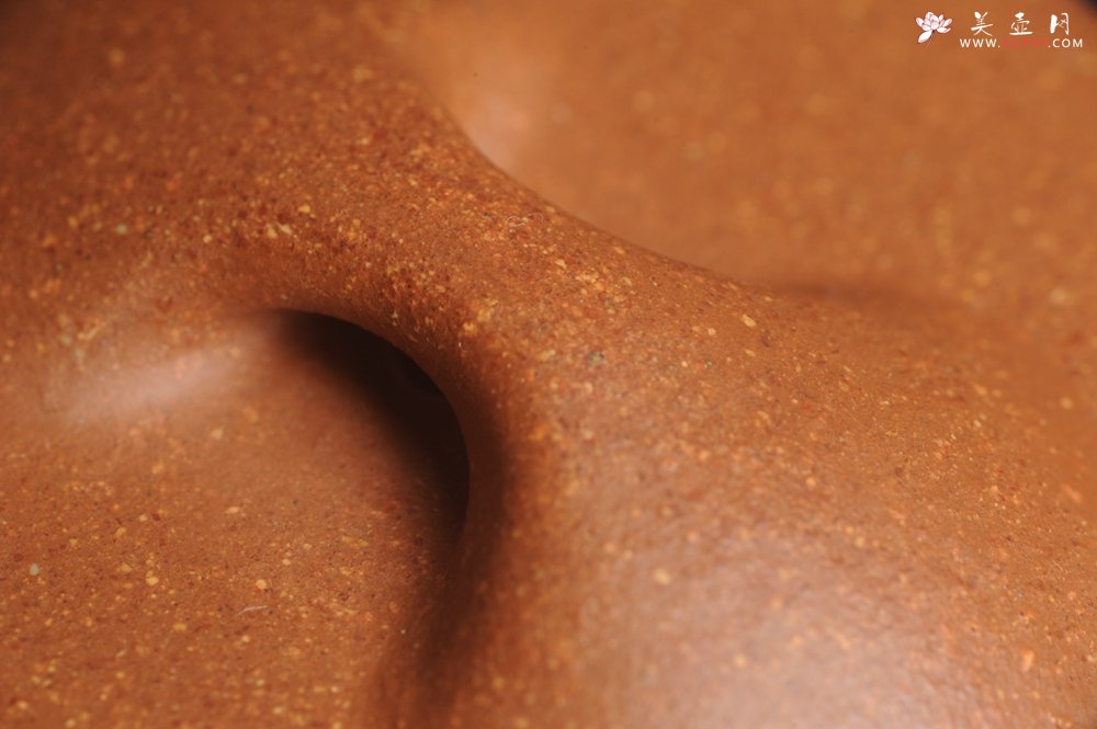 紫砂壶图片：潜力股周小培全手工演绎精品五彩段泥景舟石瓢 清茗堂助工文气装饰君子不老松 延年益寿 - 美壶网