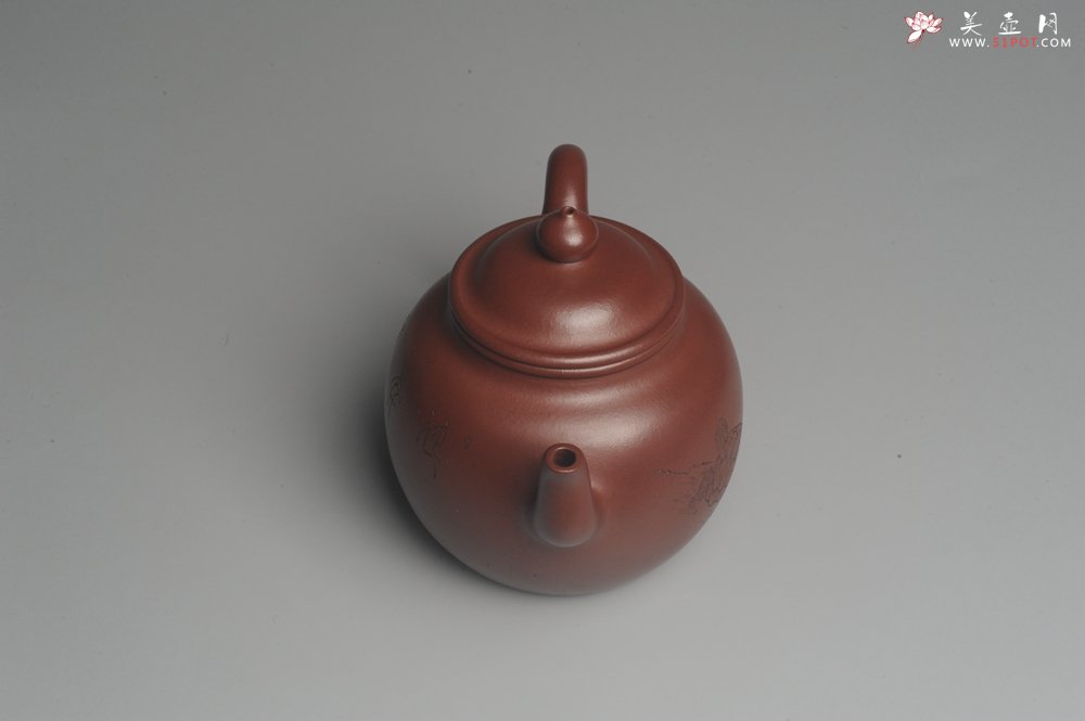 紫砂壶图片：油润黄龙山4号深井红皮龙 全手工高灯壶 清茗堂助工文气装饰龟寿图 延年益寿 - 美壶网