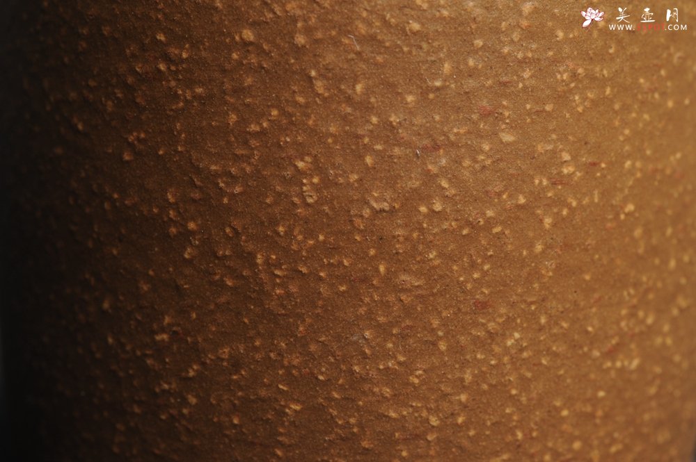 紫砂壶图片：美杯特惠 降坡泥调砂好料紫砂厚实品茗杯 主人杯 简单包装 不包邮 - 美壶网