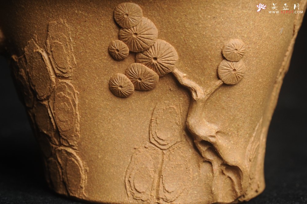 紫砂壶图片：美杯特惠 精致全手工松桩杯 - 美壶网