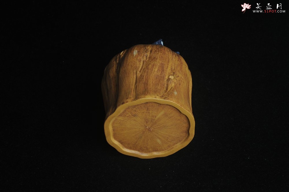 紫砂壶图片：特惠文气树桩茶叶罐 - 美壶网