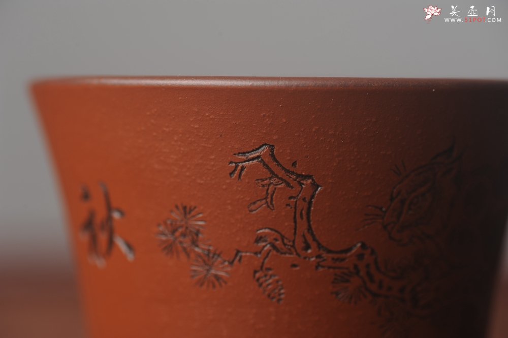 紫砂壶图片：美杯国庆特惠 精品好泥好工好刻雅致特厚实松鼠主人杯 - 美壶网