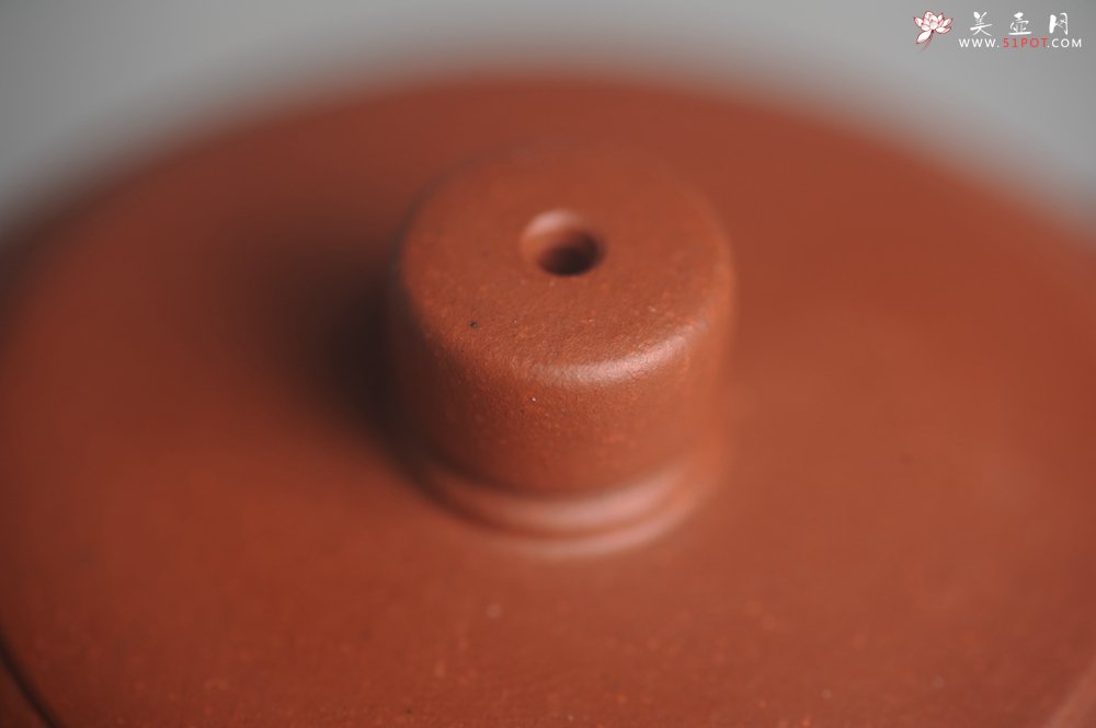 紫砂壶图片：美壶特惠 优质清水泥精致枯枝鸟德中壶 矿物质丰富 茶人醉爱 - 美壶网